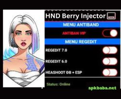 HND Berry Injector APK