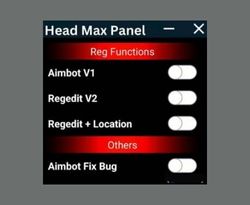 Head Max Panel